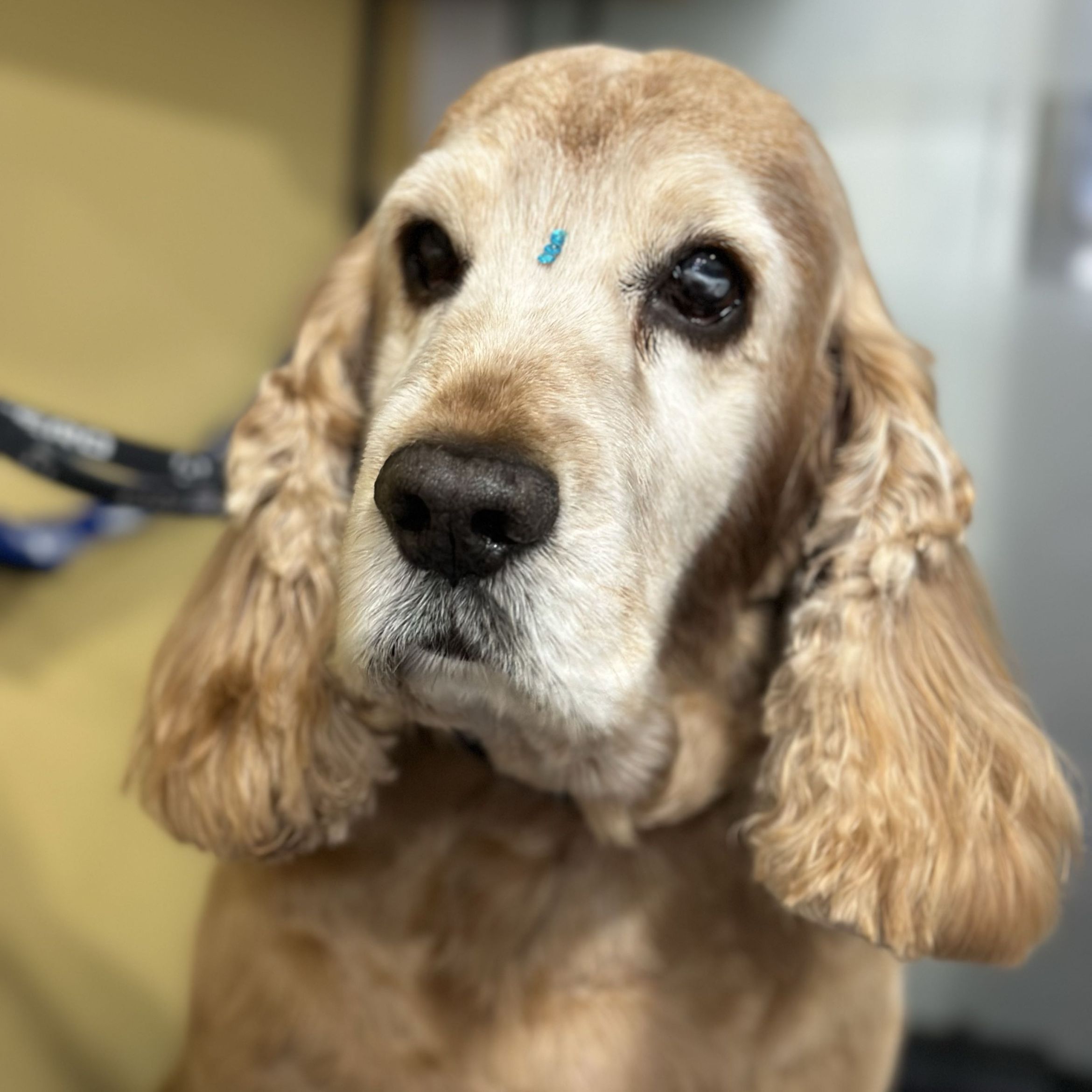 Imagen 14 de la galería